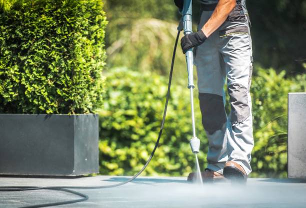 Professional Pressure washing in Virginia Gardens, FL