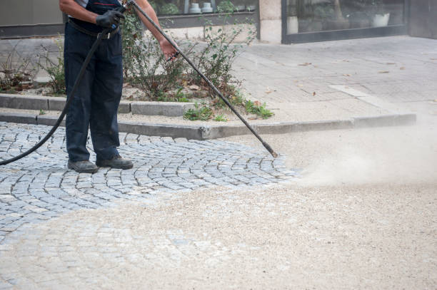 Animal Enclosure Cleaning in Virginia Gardens, FL